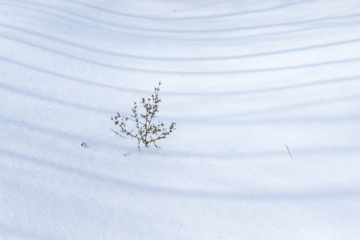 La beauté de la nature hivernale dans le village de Chibli, au nord-ouest du pays