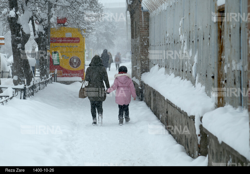 بارش برف زمستانی در اردبیل