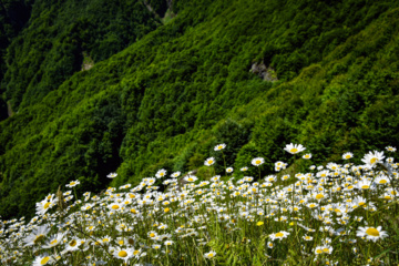 Balades et randonnées en pleine nature dans le nord de l’Iran 