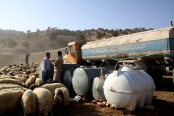 ۲۱۰ میلیارد ریال از محل سفر رییس جمهوی برای عشایر ایلام مصوب شد