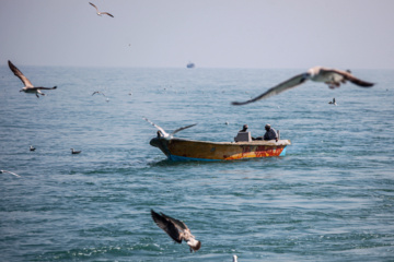 Pesca de camarones y peces en el Golfo Pérsico