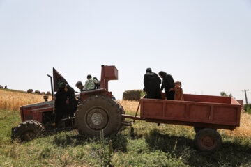 عزاداری روز عاشورا - روستای سردابه اردبیل