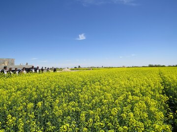 مسیر ارزآوری بخش کشاورزی همواره شود