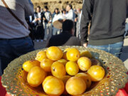 جشنواره آلو و غذاهای محلی روستای «حیدره قاضی خانی» همدان 