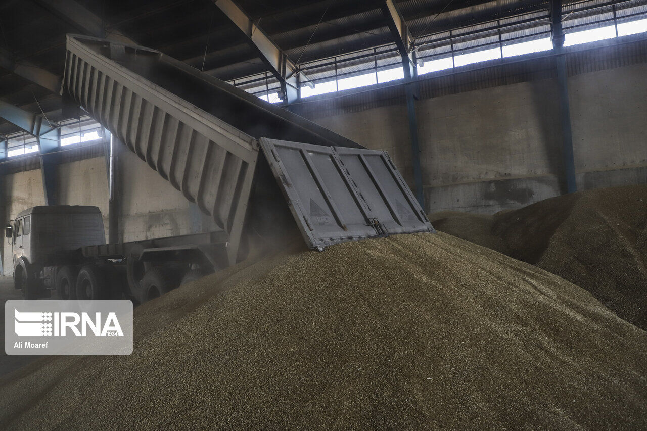 ۸۶ هزار تن گندم برای ارتقای کیفیت نان به خراسان شمالی وارد شد