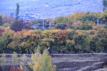 پاییز هزار رنگ در روستای گردشگری "قره خاچ " ماکو