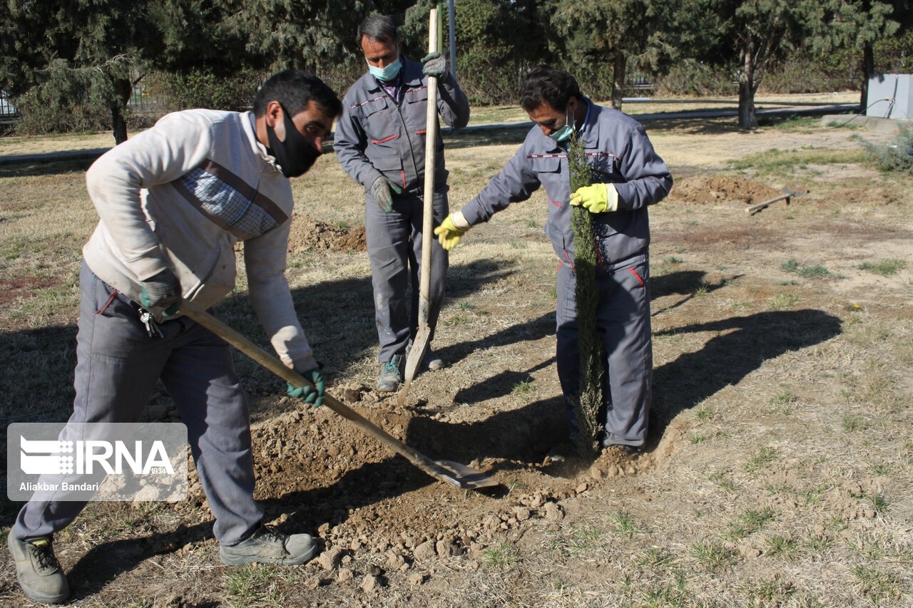 بذرکاری ۱۰۰ هکتار بیابان گرمسار در قالب پویش مردمی آغاز شد