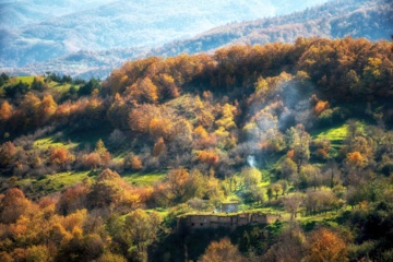 L'automne dans les forêts hyrcaniennes expose la magie de la nature dans chaque feuille. Le paysage intact et pittoresque de ces forêts en automne montre l'importance historique et la diversité végétale de ce trésor naturel iranien. 