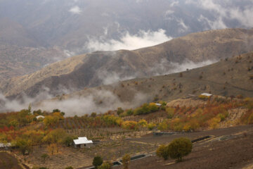 خودنمایی زمستان در پاییز