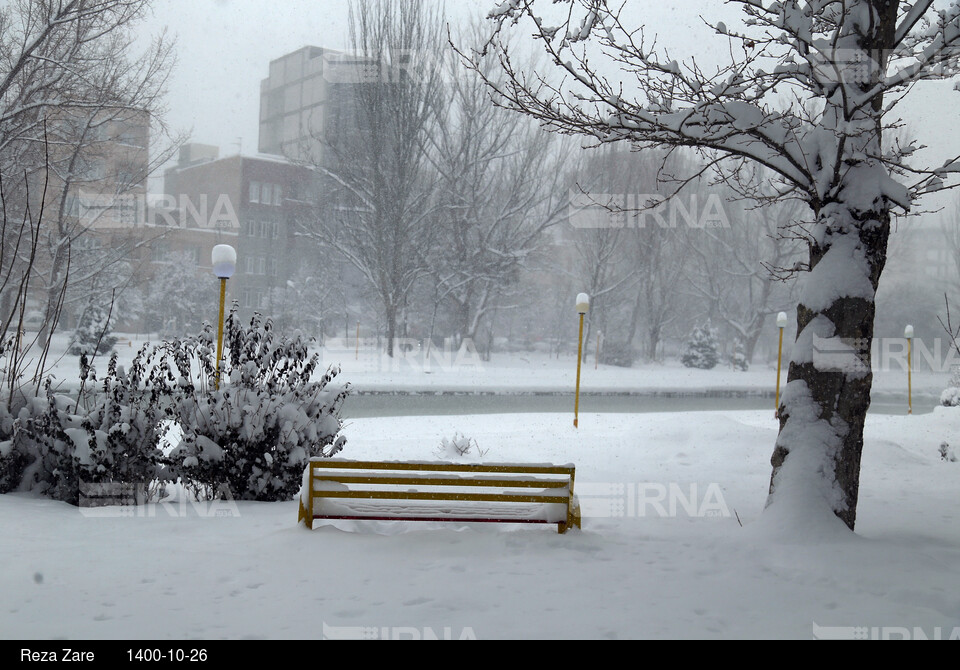 بارش برف زمستانی در اردبیل