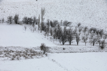 سپیدپوش شدن مناطق کوهستانی کردستان