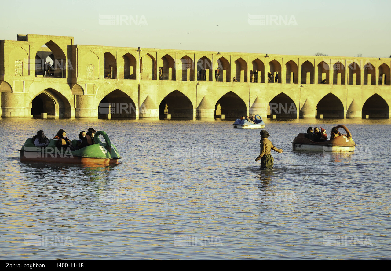 میزبانی زاینده رود از پرندگان مهاجر