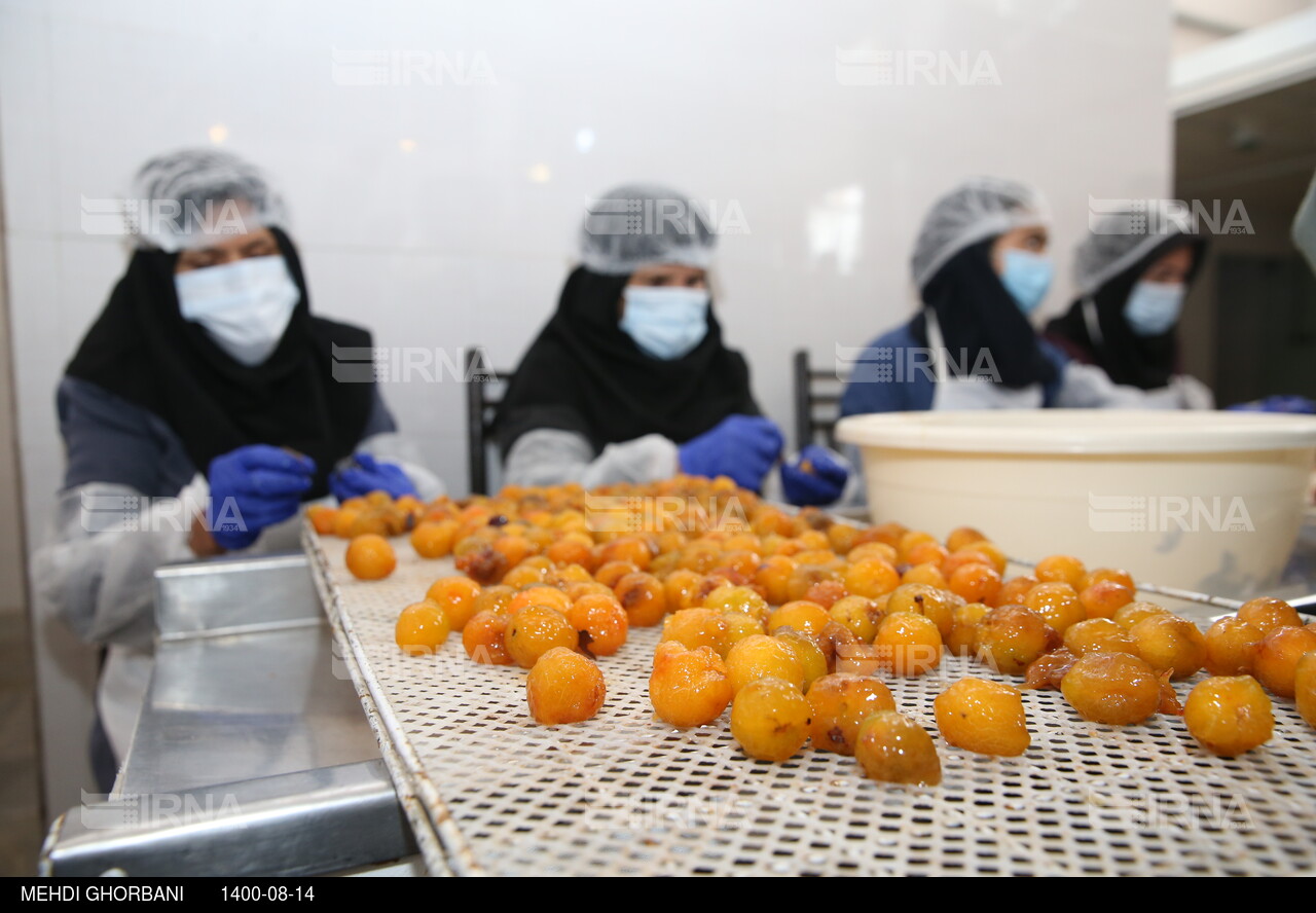 سفر معاون امور زنان رییس جمهوری به خراسان رضوی