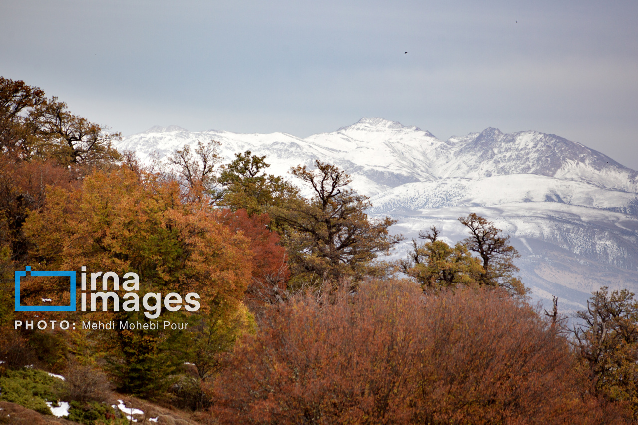 پاییز هزار رنگ مازندران