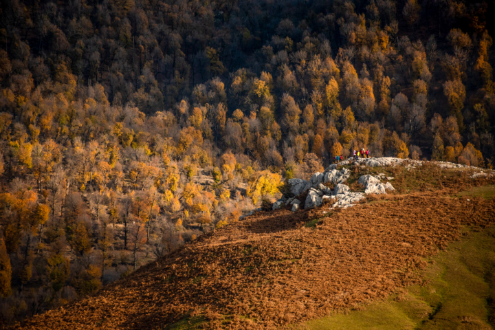 Herbst in der "Markouh"-Ebene von Minoodasht