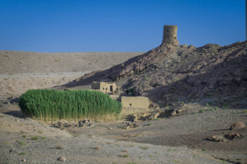 پناهگاه حیات وحش نایبندان