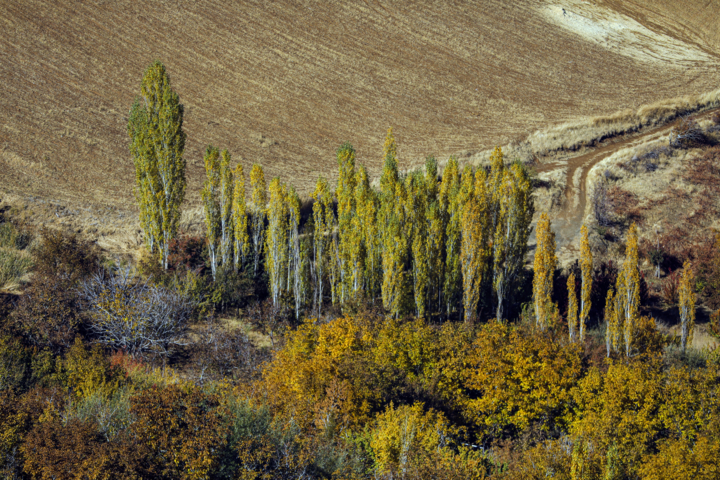 فصل پاییز کلاترزان سنندج