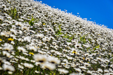 Balades et randonnées en pleine nature dans le nord de l’Iran 