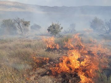 رییس منابع طبیعی مهریز: آتش‌سوزی مراتع کنجکوه این شهرستان مهار شد