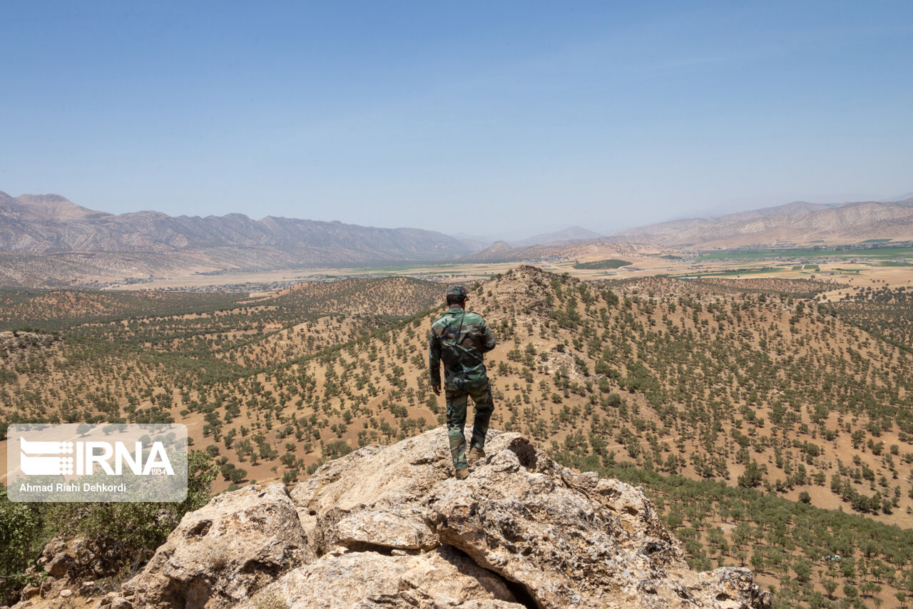 جنگلبانان نمونه شهرستان بیجار تجلیل شدند