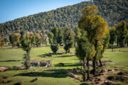 Markuh-Ebene in der Provinz Golestan 