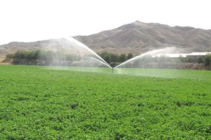 پروژه آبیاری تحت فشار روستای بوسجین نیر فعال می‌شود