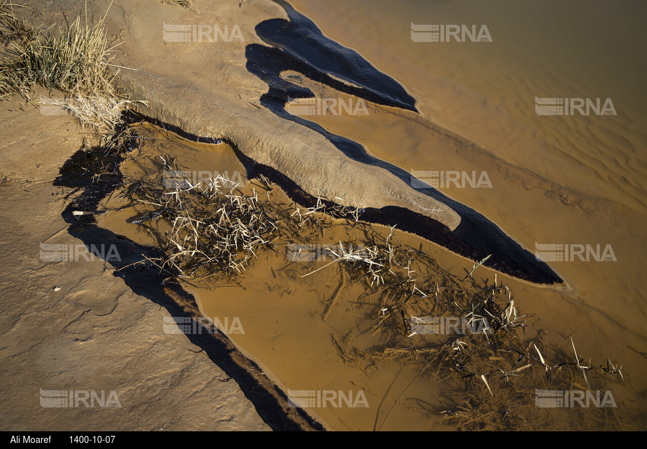 آلودگی ناشی از شکستگی در خط انتقال پساب چاه ۳۶۵ مارون در بخش غیزانیه
