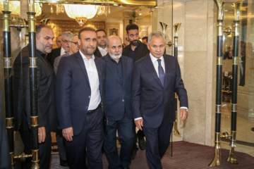 Top Iranian, Russian security officials meet in Tehran