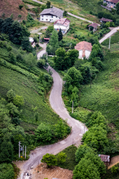 Lahijan tea