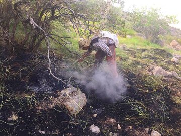 علت آتش‌سوزی کوه گُرم در شهرستان جهرم در دست بررسی است