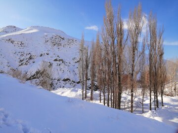 Snowy day in 1st days of winter in Tehran