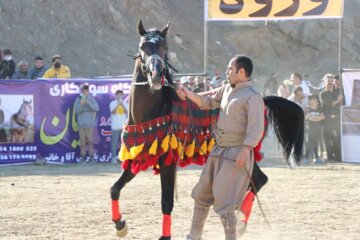 جشنواره اسب اصیل کردی در بوکان