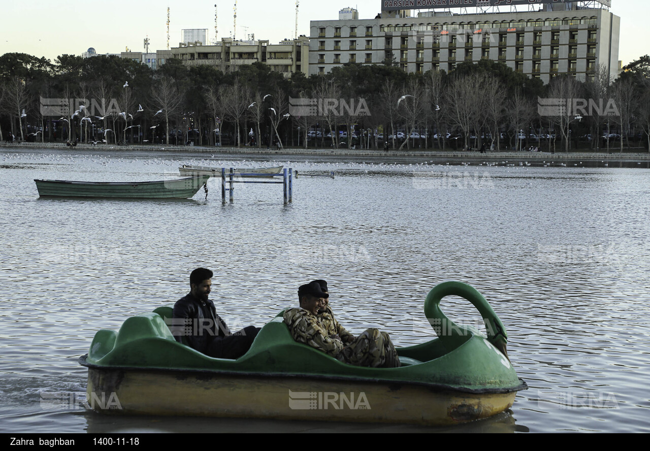 میزبانی زاینده رود از پرندگان مهاجر