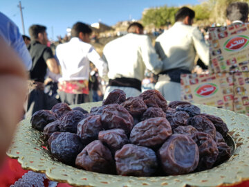 جشنواره آلو و پخت غذاهای محلی روستای حیدره قاضی خانی