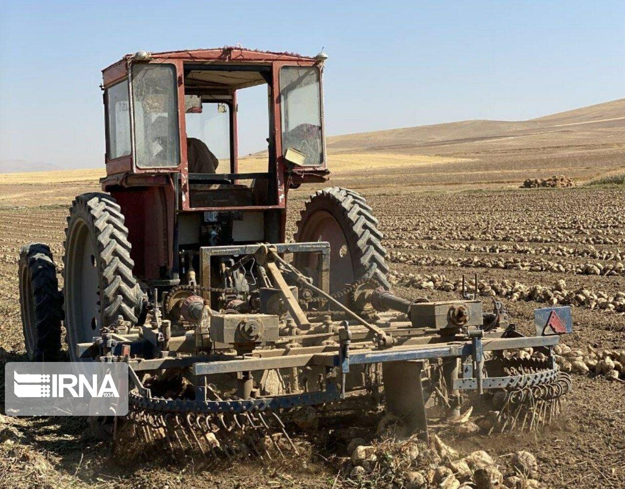 برداشت چغندرقند از مزارع سقز آغاز شد