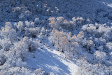 بارش برف پاییزی در گلستان