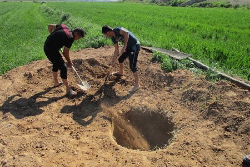 آب منطقه‌ای اردبیل: بهره‌برداران بخش کشاورزی در مصرف آب صرفه‌جویی کنند