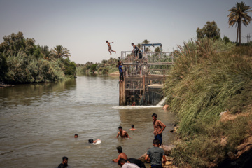 Arbaeen walk; Divaniyeh to Kufa route