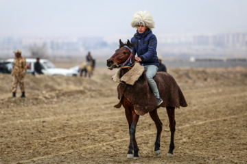 Les chevaux turkmènes de race pure dans la province du Khorasan du Nord