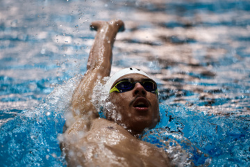 Des compétitions de natation à Téhéran 