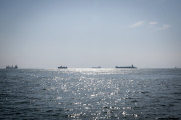 Shipping in the Red Sea