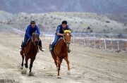 نخستین دوره مسابقات اسبدوانی کورس پاییزه در خراسان شمالی آغاز شد