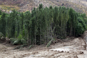 بازدید نایب رئیس مجلس از مناطق سیل زده روستاهای کلیبر