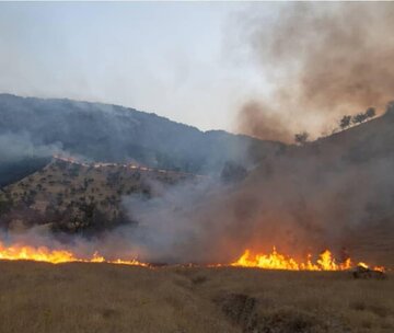 تلاش برای کنترل آتش جنگل‌های استان کهکیلویه و بویر احمد
