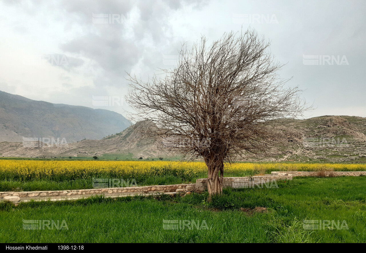 دیدنیهای ایران - کهگیلویه و بویر احمد