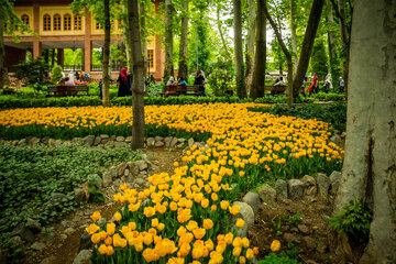 Fiesta de tulipanes en el Jardín Iraní