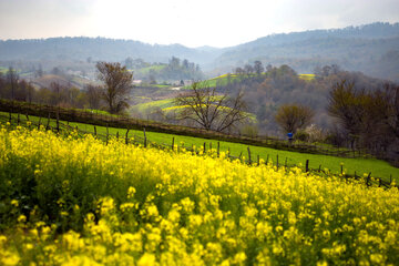 بهار در مازندران