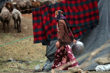 زندگی عشایر در مراتع همدان