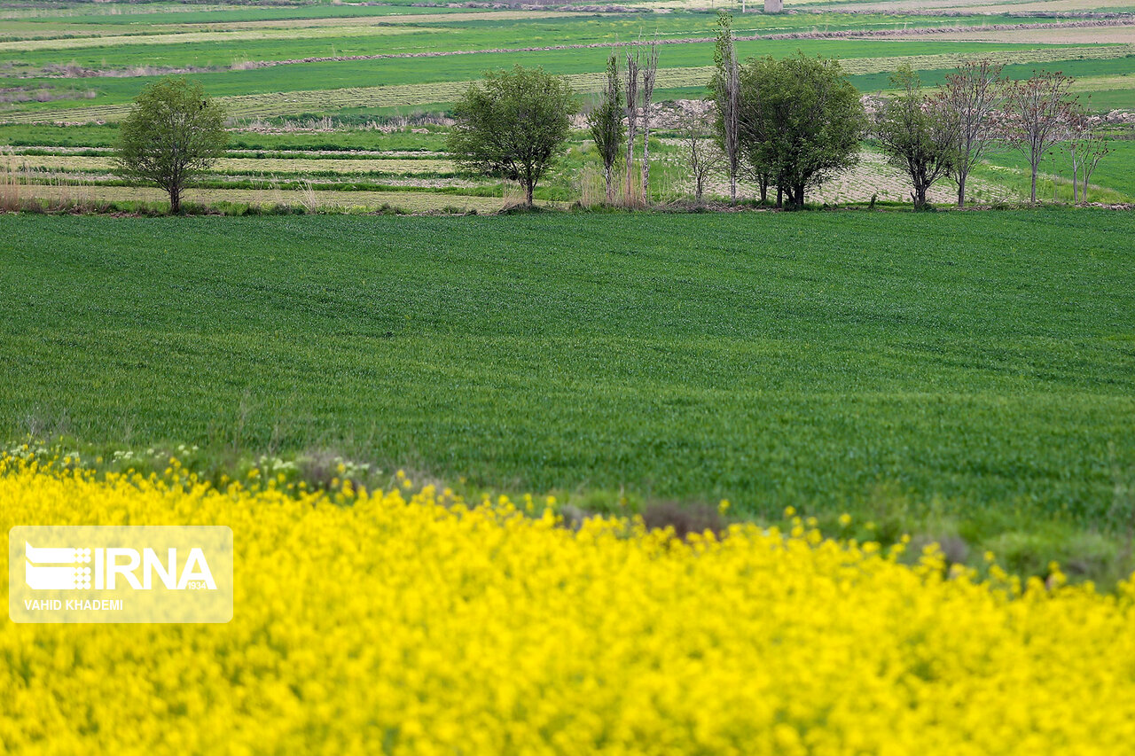 ۶۶ درصد زمین‌های کشاورزی خراسان‌شمالی خرده مالکی است