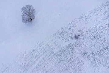 Hiver 2025: nature enneigée des hauteurs de la province de Golestan au nord de l'Iran